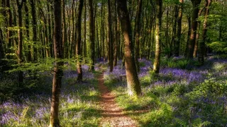 人物背景卡形象高清