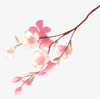 手绘桃花免抠