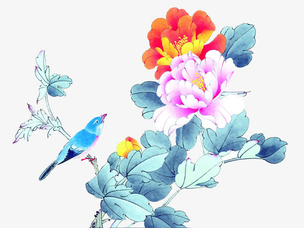 花鸟免抠
