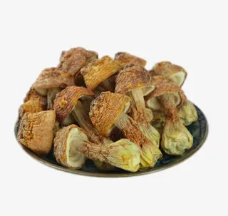 盘子里的姬松茸干货免抠