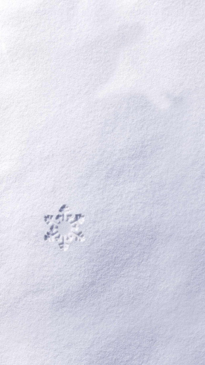 雪地H5背景高清