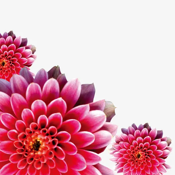 妇女节背景