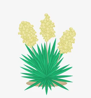 手绘卡通铁树开花免抠