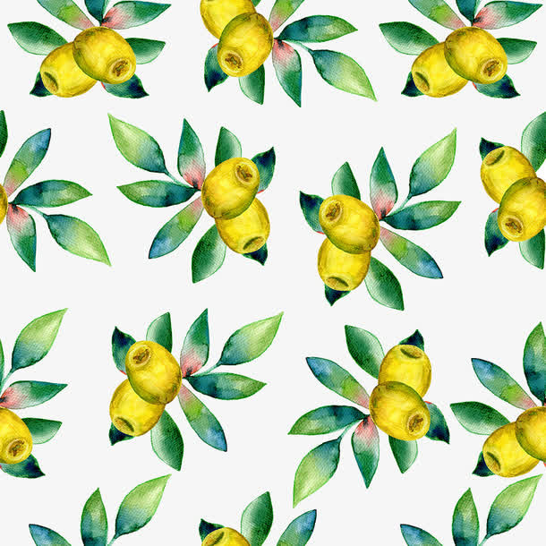 手绘橄榄果底纹免抠