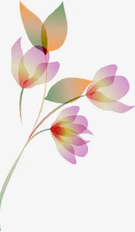 手绘粉色花纹装饰纹理免抠