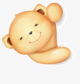 小熊俯视图免抠