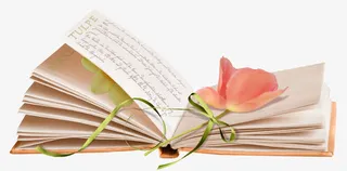 小清新书籍免抠