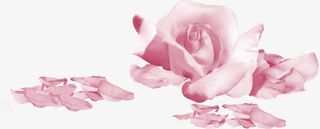 散落的花瓣免抠