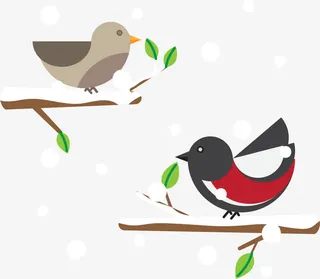 雪中站在树枝上的鸟免抠