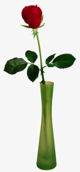 一束玫瑰花免抠