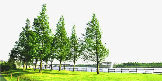 手绘春天大树风景免抠 手绘春天大树风景免抠