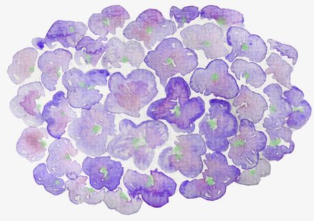 手绘绣球花免抠