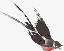 燕子免抠