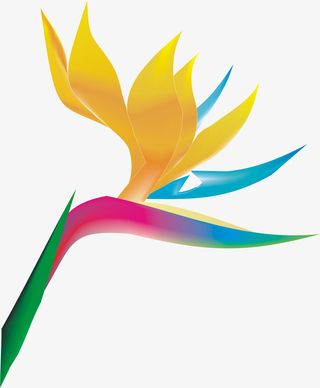 望鹤兰 天堂鸟免抠