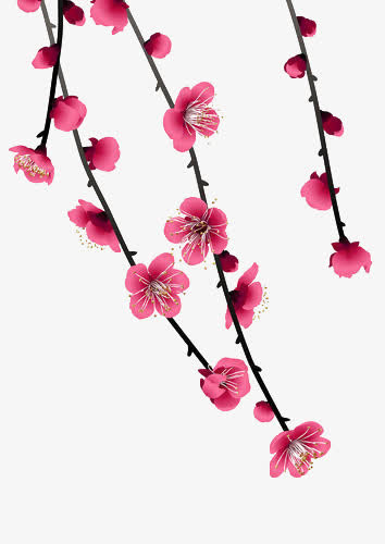 桃花免抠