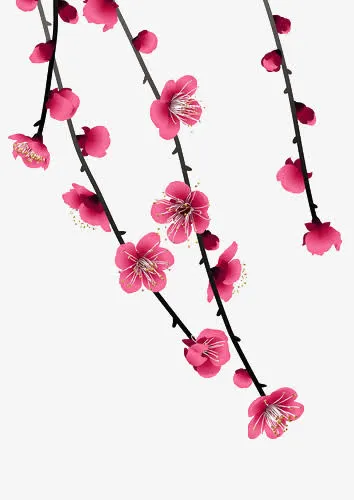 桃花免抠