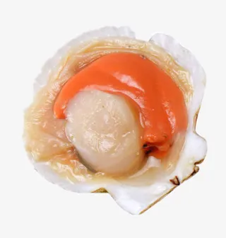 夏威夷鲜冻半壳扇贝免抠