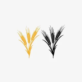 金色麦穗免抠