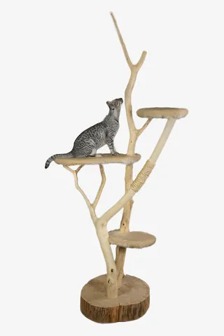 放物品的支架免抠