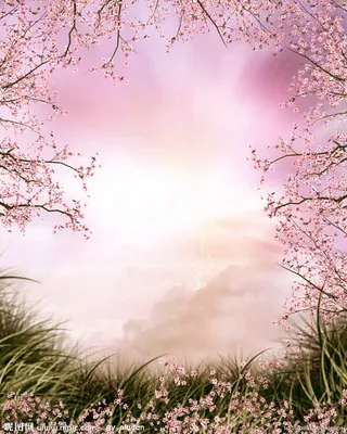 漫天粉色花高清壁纸免抠