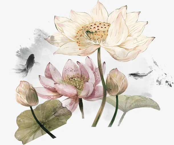 荷花 山水 古风 国风免抠