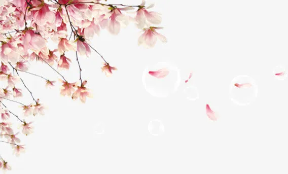 梅花压满枝七夕免抠