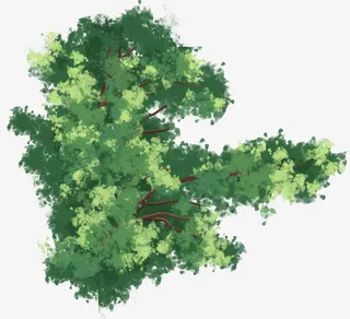 插画树枝手绘免抠