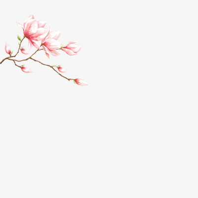 漂亮鲜艳的花朵免抠