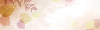 高清炫彩叶子banner背景高清