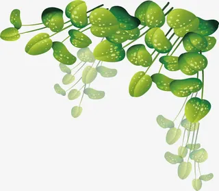 小清新绿色树叶边框免抠