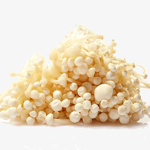 新鲜菌菇免抠