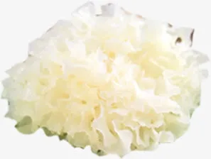高清白色银耳食物免抠