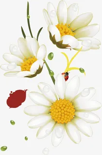 手绘卡通花朵动漫花朵免抠