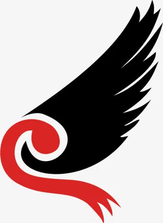 手绘黑色中国风翅膀免抠