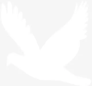 白色鸽子剪纸手绘人物婚礼免抠