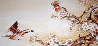 手绘花鸟图背景高清