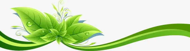 绿叶动感弧线装饰条带免抠