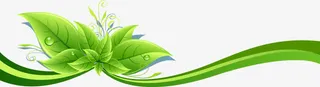 绿叶动感弧线装饰条带免抠