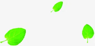 清新夏日漂浮树叶免抠