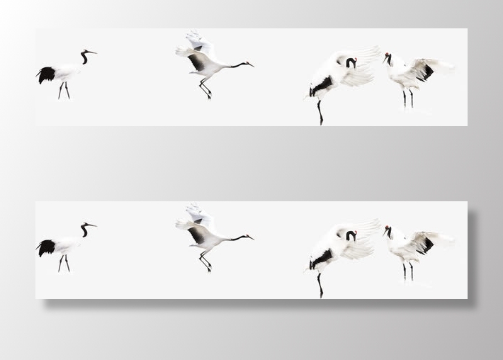 白色春天仙鹤造型多姿免抠装饰动物元素