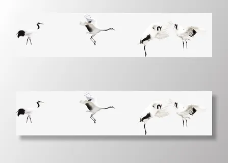 白色春天仙鹤造型多姿免抠装饰动物元素