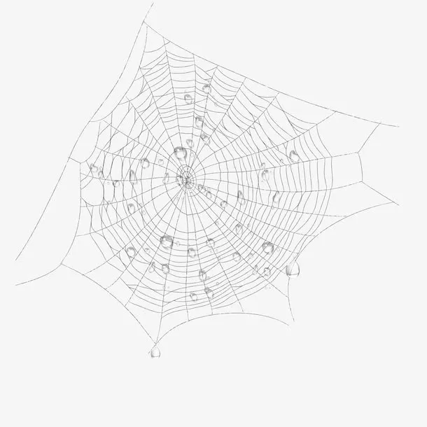 手绘蜘蛛网免抠