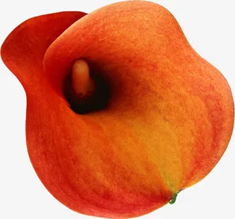 红色马蹄莲免抠