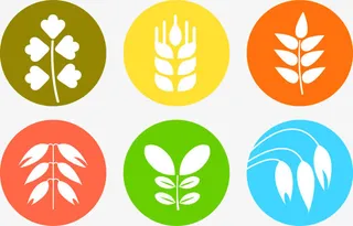 矢量手绘米免抠