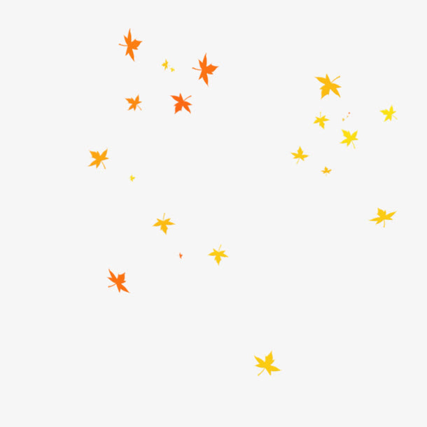 飘落的枫叶免抠