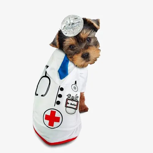 宠物狗狗医生免抠