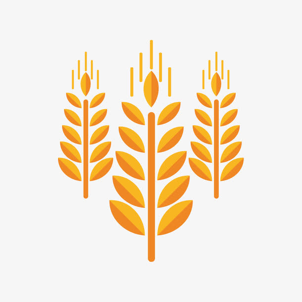 黄色麦穗免抠