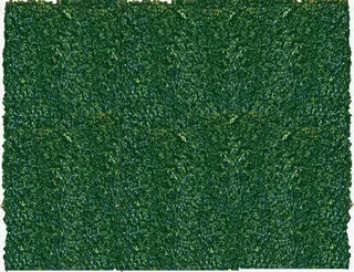 清新森系素材图片免抠