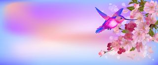 粉红花卉鸟儿背景高清