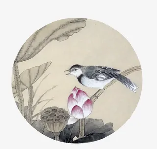 荷花花骨朵免抠